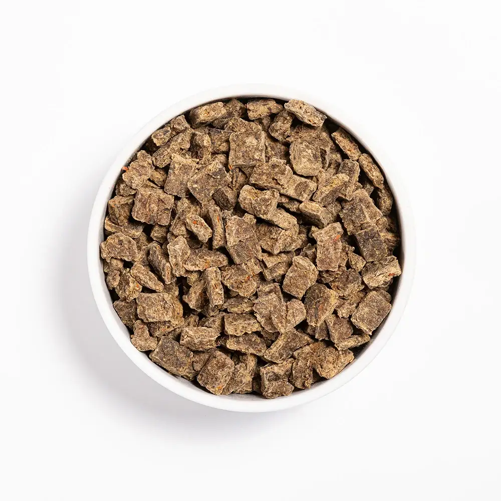 Puppy Air Dried Lamb, Apple & Blueberry in bowl