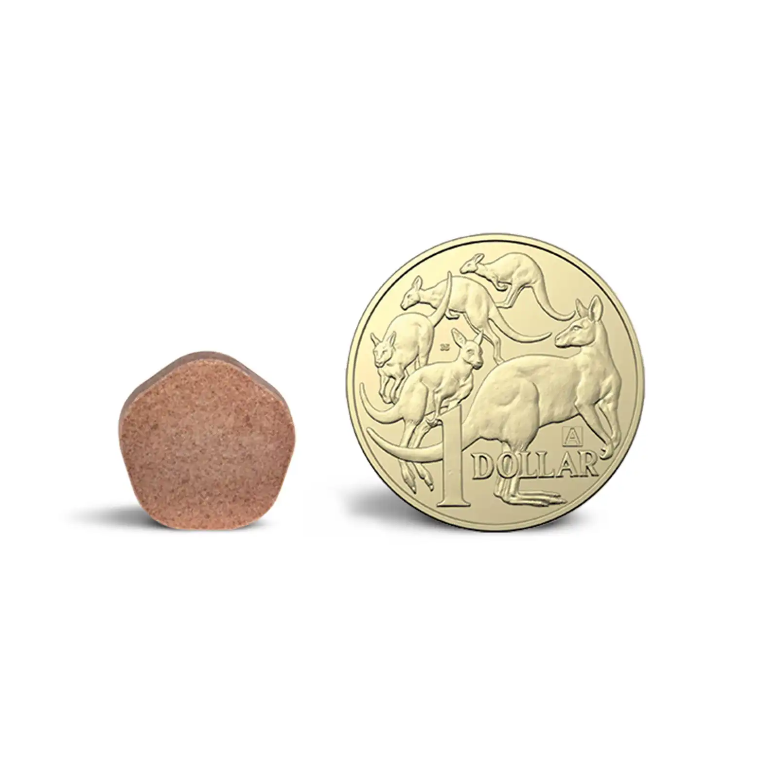 Simparica Trio chew for small dogs shown beside a coin for size comparison