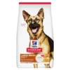 Large Breed Adult 6+ Chicken Meal, Barley & Rice Recipe Dog Food Large Breed Adult 6+
