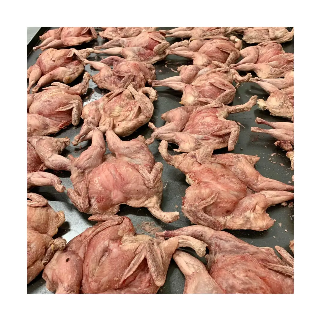 Freeze-dried whole quail pieces displayed on drying tray