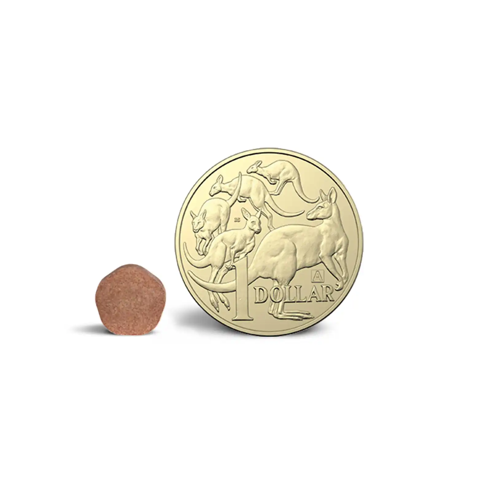 Simparica Trio chew for puppies shown next to a coin for size reference