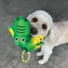 kong-cozie-tuggz-alligator-dog Dog holding KONG Cozie Tuggz Alligator plush toy