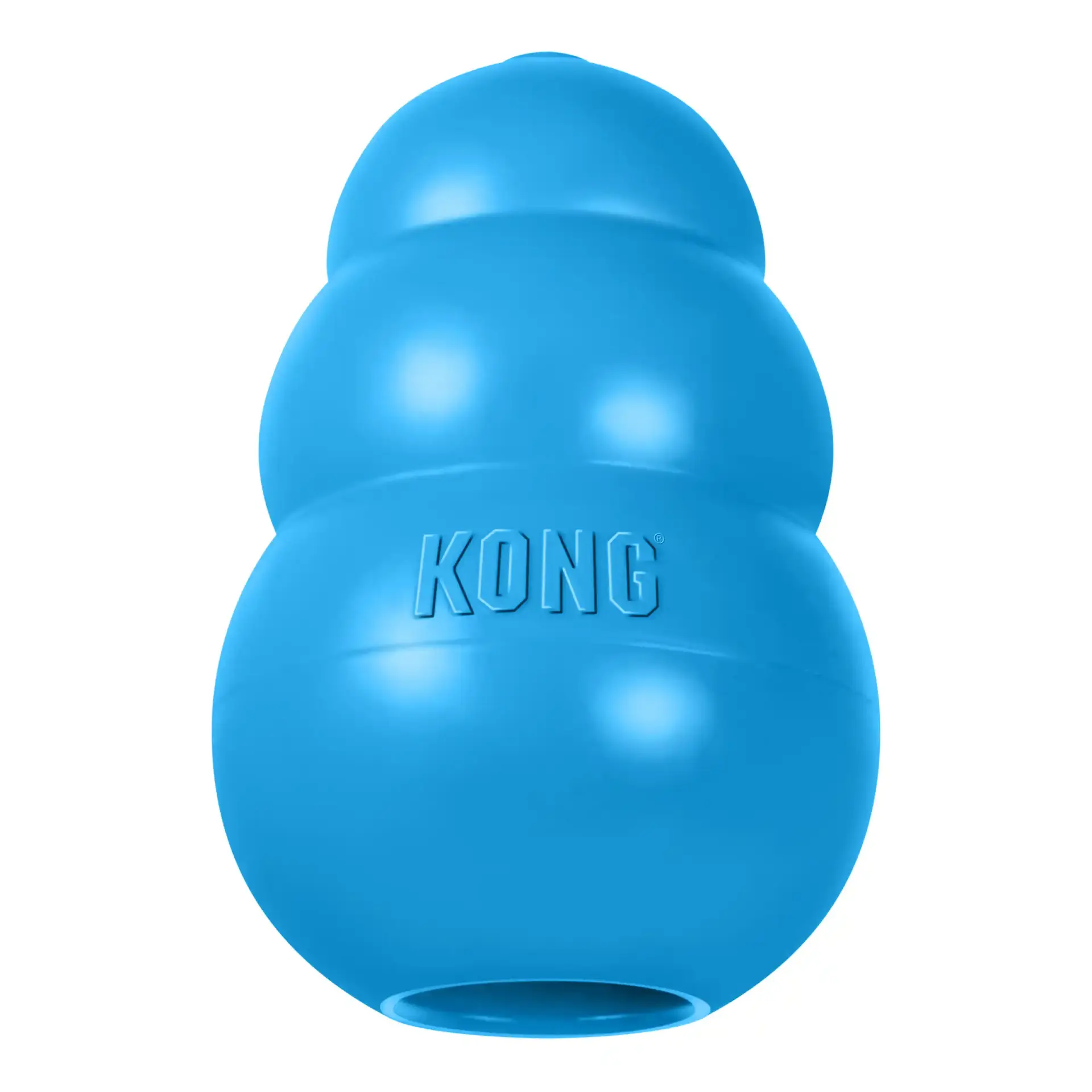 Blue KONG Puppy Medium toy close-up