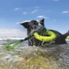 KONG Reflex Tug Dog Toy – Water Play Dog playing in water with KONG Reflex Tug Dog Toy in mouth during fetch.