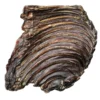 wag-kangaroo-rib-rack-front WAG Kangaroo Rib Rack natural dried dog treat
