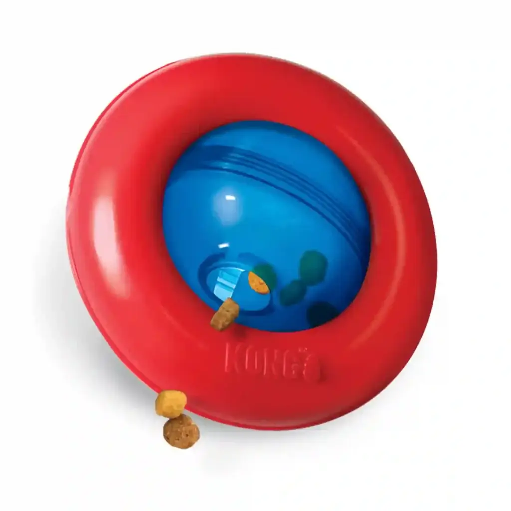 KONG Gyro Treat Dispensing Dog Toy dispensing treats from blue spinning ball and red ring during play.