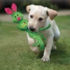 KONG Wubba Ballistic Friends Tug Toy – Dog Playing Outdoors Dog playing on grass carrying the green KONG Wubba Ballistic Friends Tug Toy in its mouth.