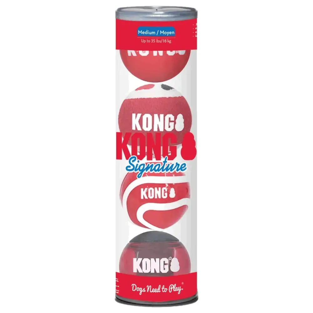 KONG Signature Balls Assorted Medium in clear packaging tube showing four red high-bounce dog balls