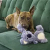 kong-scrumplez-koala-dog-toy-lifestyle Dog lying on couch playing with KONG Scrumplez Koala soft squeaky plush toy