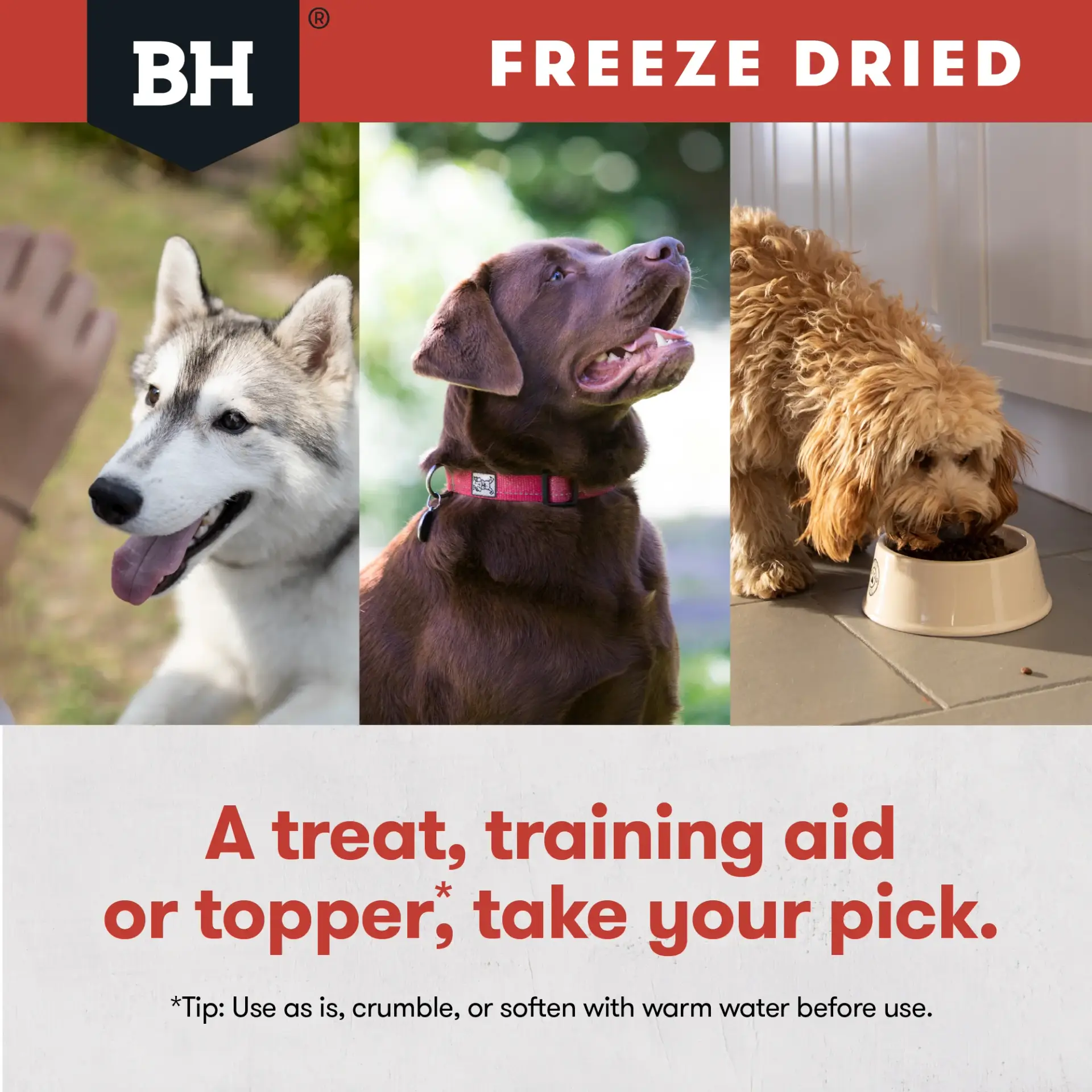 Dogs enjoying food and rewards showing Black Hawk freeze dried kangaroo dog treats used as a treat training aid or meal topper