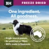 BlackHawk Freeze Dried Lamb Tasmanian Origin Dog standing in open field representing BlackHawk freeze dried lamb treats made in Tasmania Australia