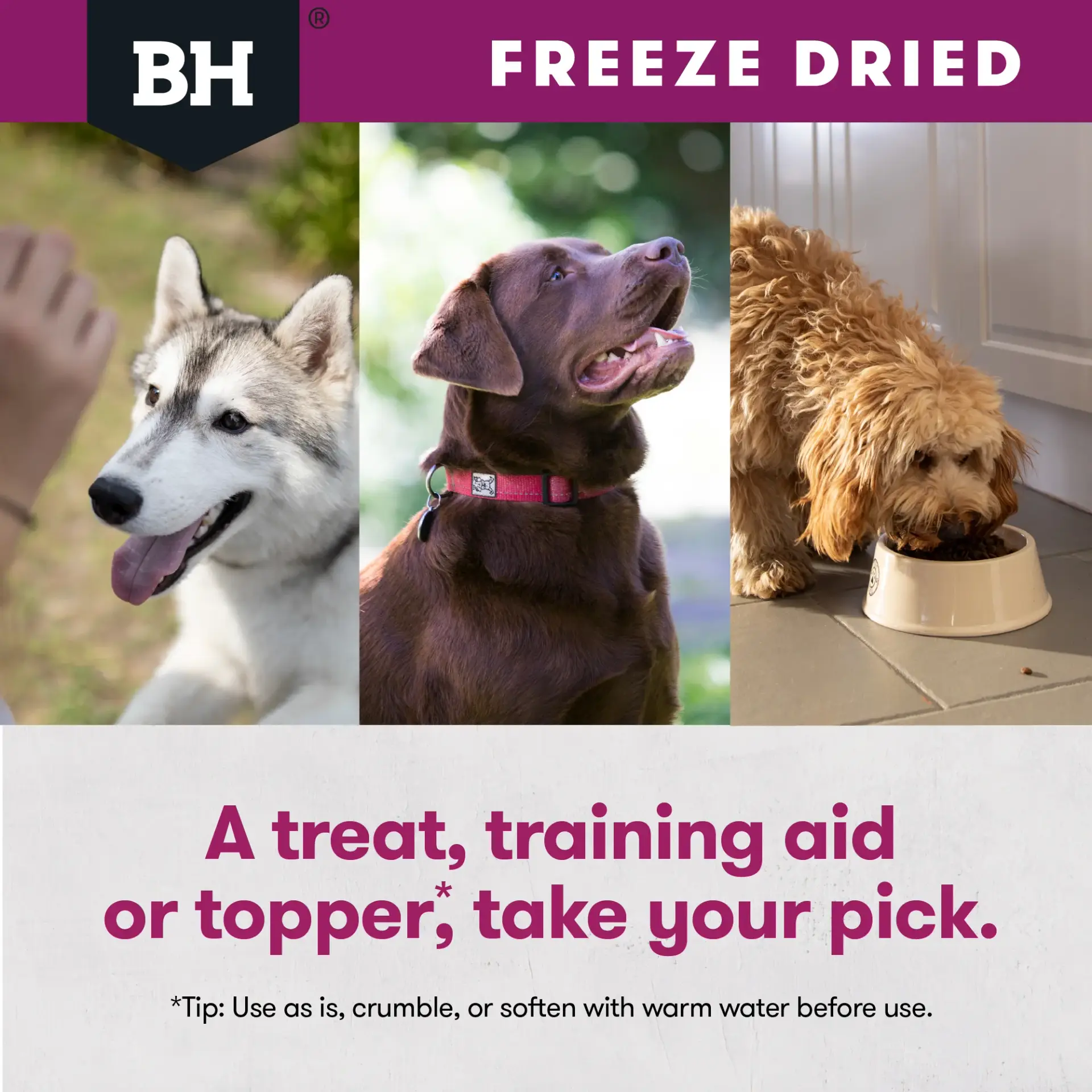 Dogs enjoying BlackHawk freeze dried lamb dog treats as a treat training reward or meal topper