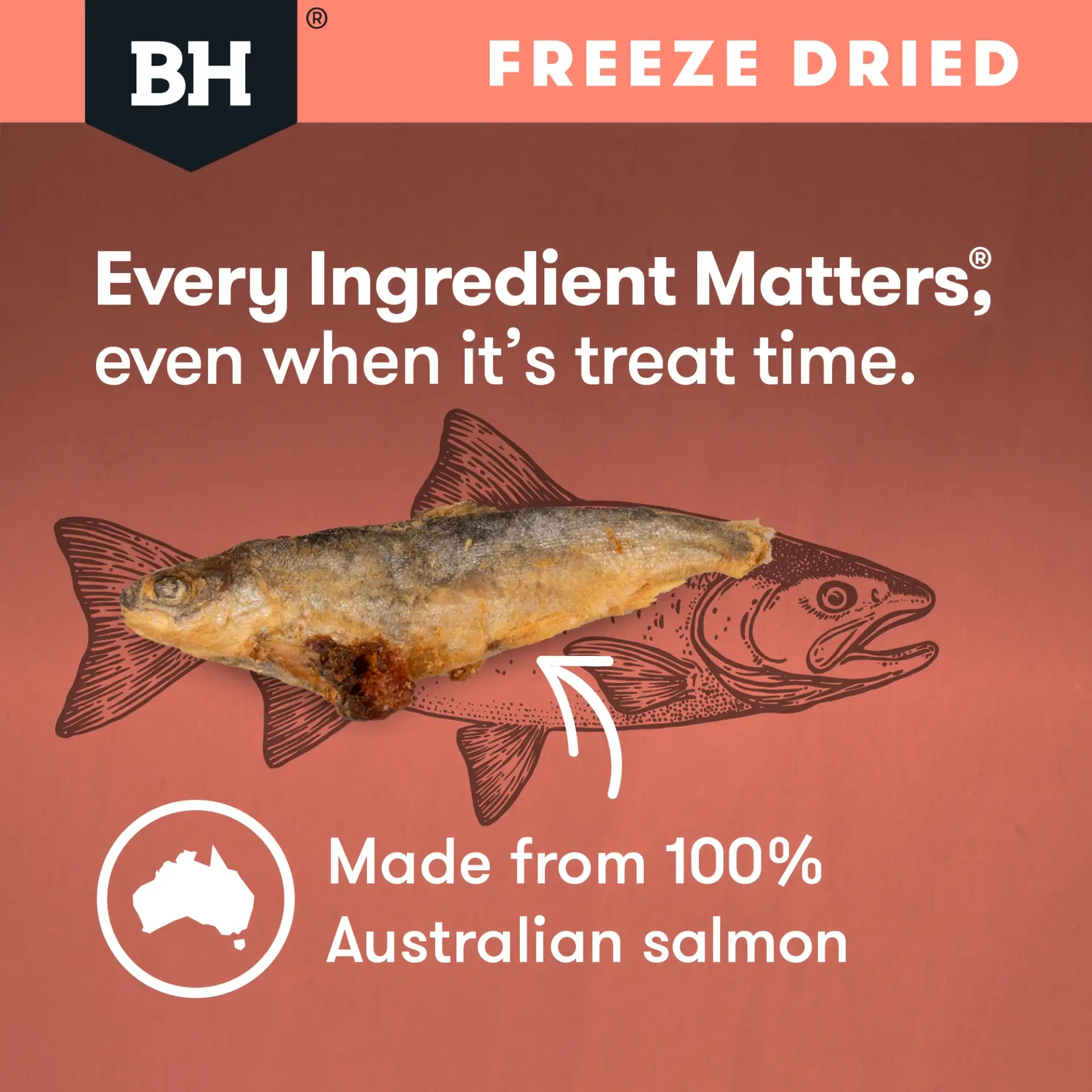 Black Hawk Freeze Dried Whole Salmon Dog Treats made from Australian salmon