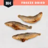 Freeze Dried Whole Salmon Pieces Individual Black Hawk Freeze Dried Whole Salmon Dog Treats pieces