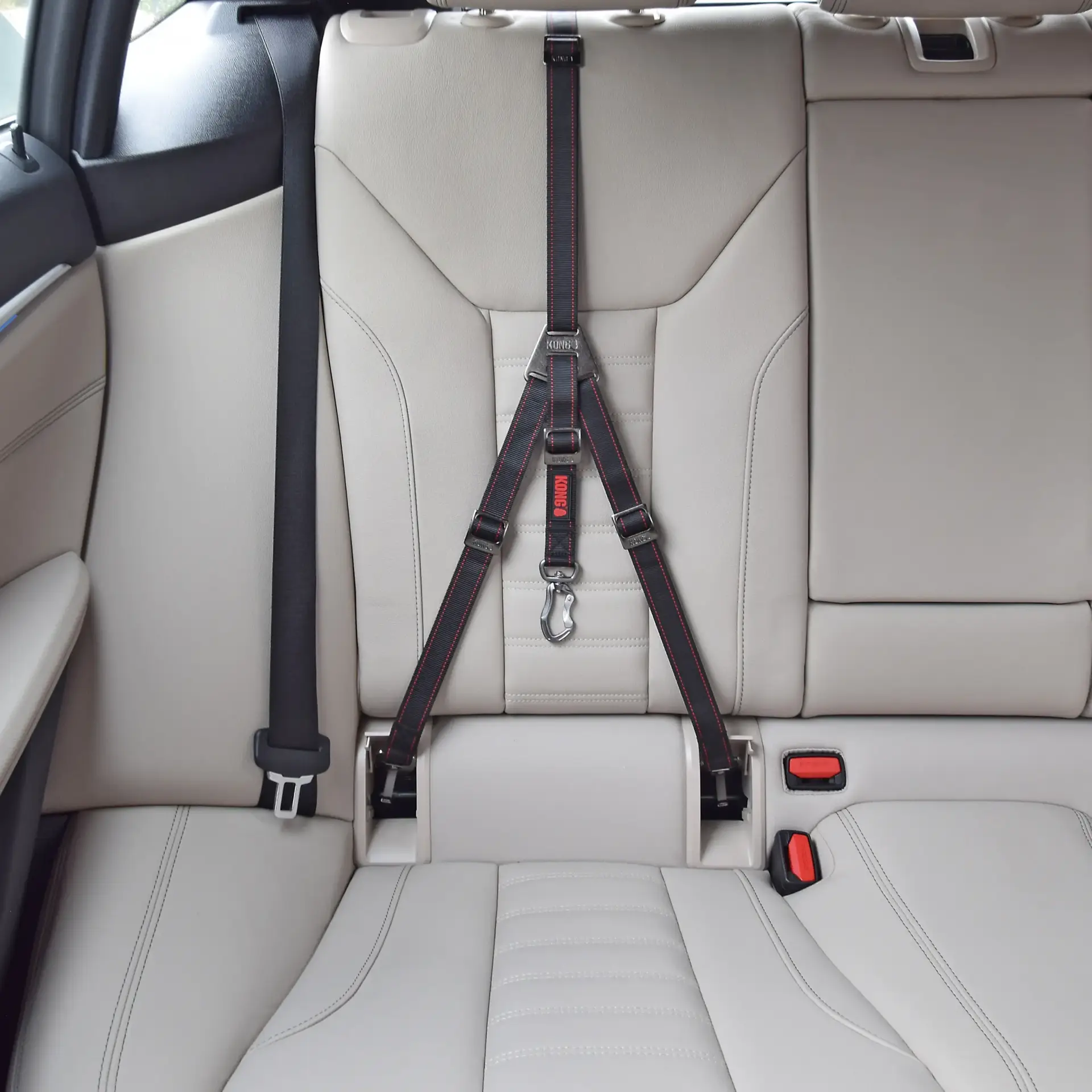 KONG Ultimate Safety Tether installed on a rear car seat using LATCH anchor points