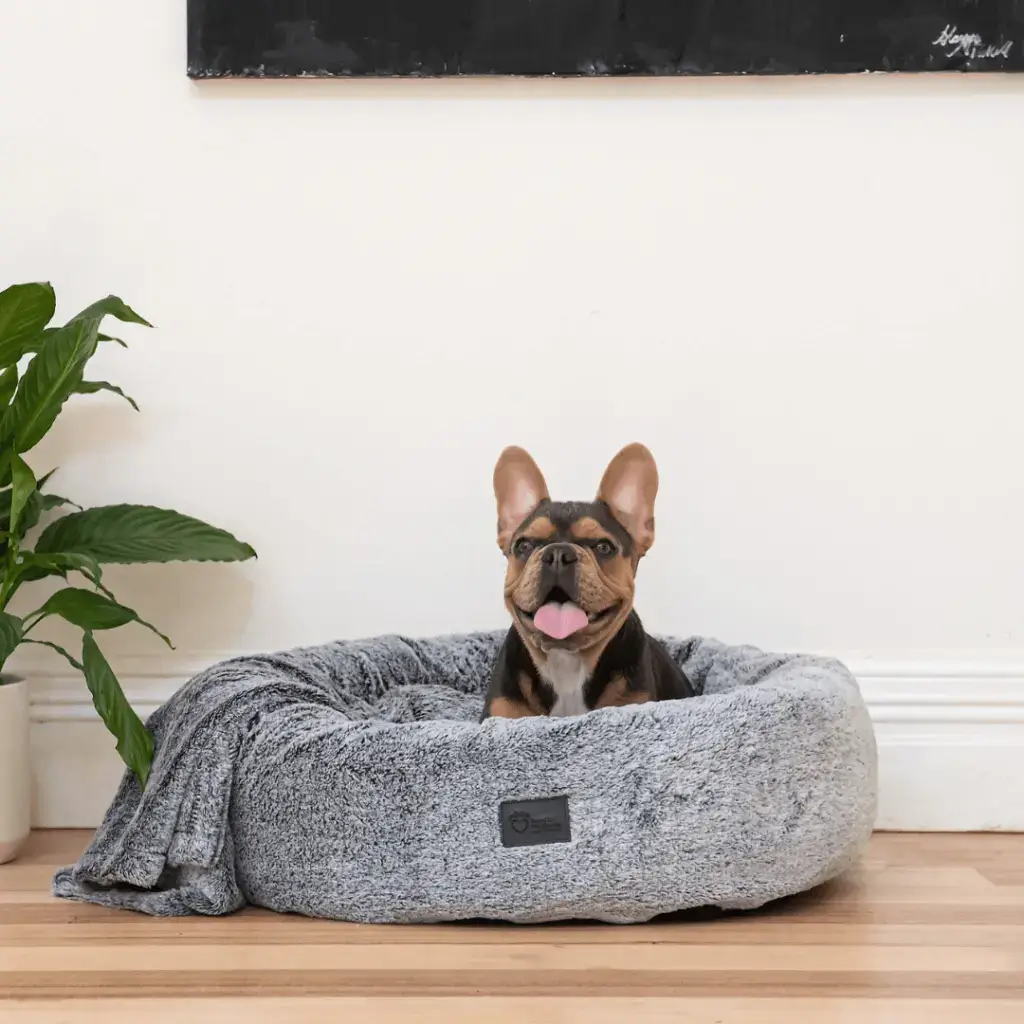 Dog resting comfortably in a Superior Harley dog bed with soft arctic faux fur sides
