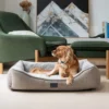Dog resting in a Superior Ortho Haven dog bed in a stylish living room setting