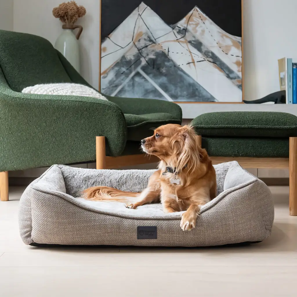 Dog resting in a Superior Ortho Haven dog bed in a stylish living room setting