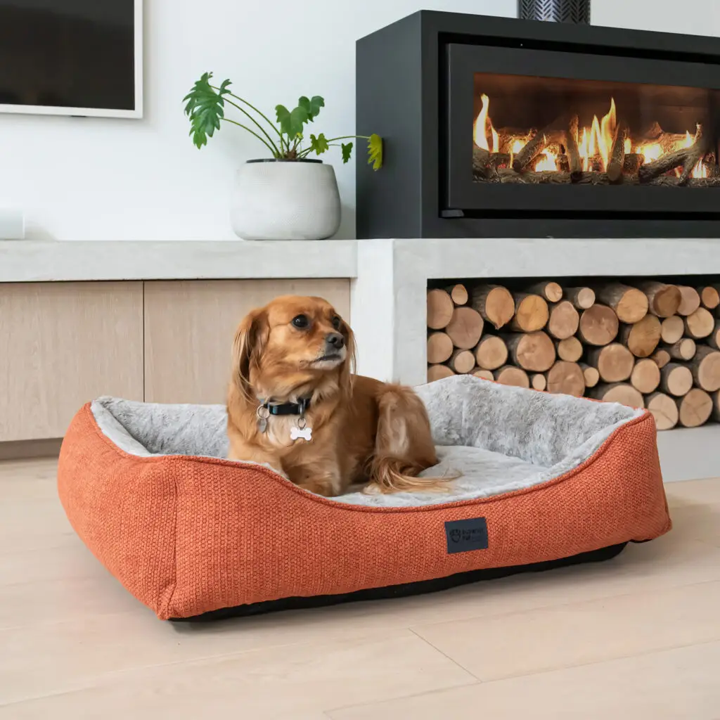 Small dog relaxing in a Superior Ortho Haven dog bed in a modern living room